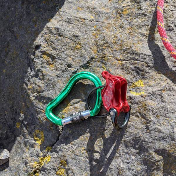 Belay Device on an HMS screw Gate